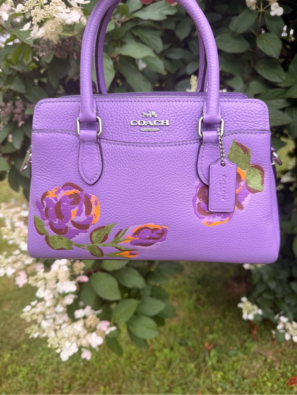 Mini Darcie Carryall CL423